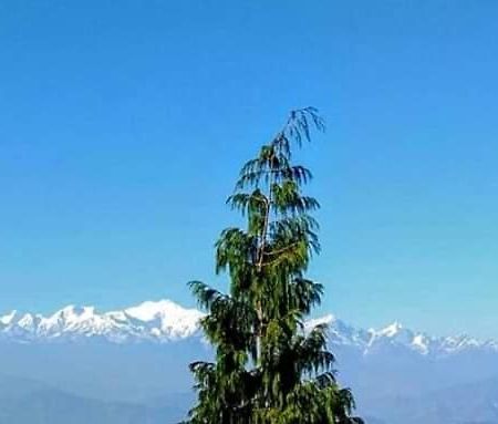 The Mountain View Appartement Darjeeling  Buitenkant foto